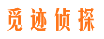 江阳侦探公司